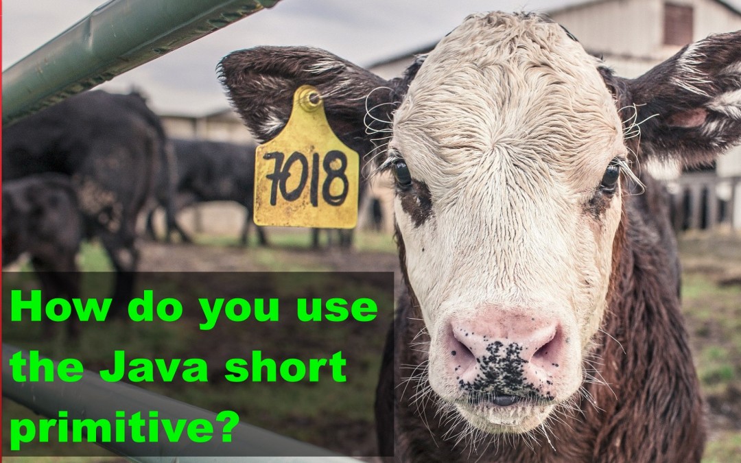 How do you use the Java short primitive? – J007