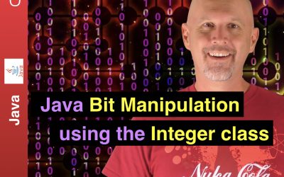 Java Bit Manipulation using the Java Integer Class – J049