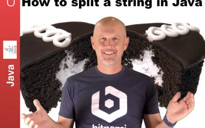 How to split a Java String – J052